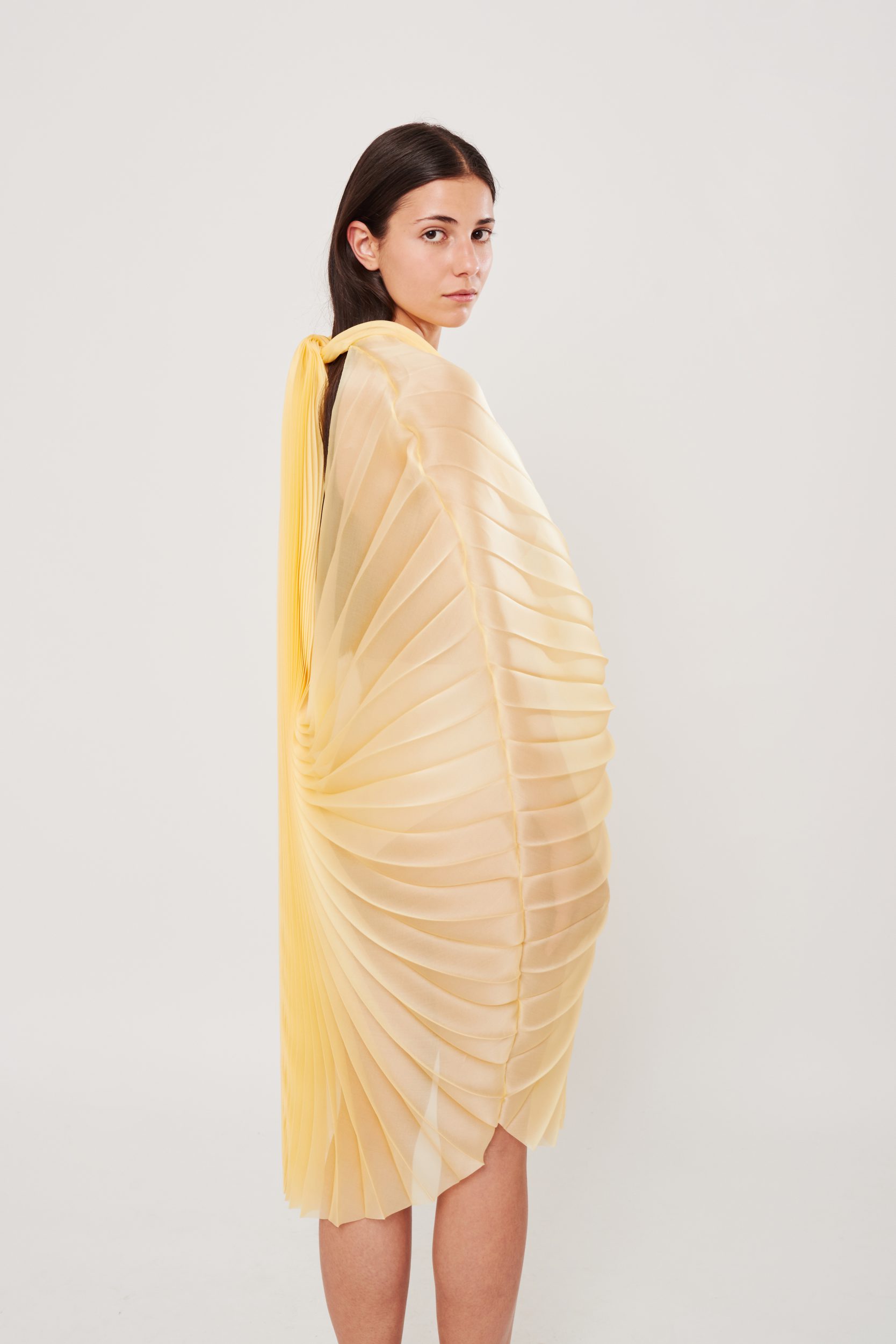 Pleated silk organza dress
